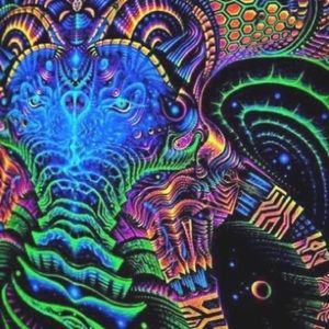 Meet your Posher, Zoeyy